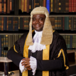 Professor Damilola Olawuyi (SAN)