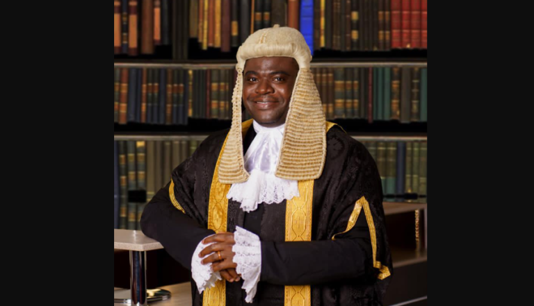 Professor Damilola Olawuyi (SAN)