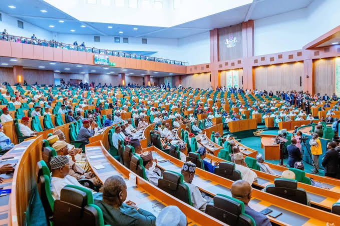 House of Reps dumps own State Police Bill, adopts Tinubu’s proposal